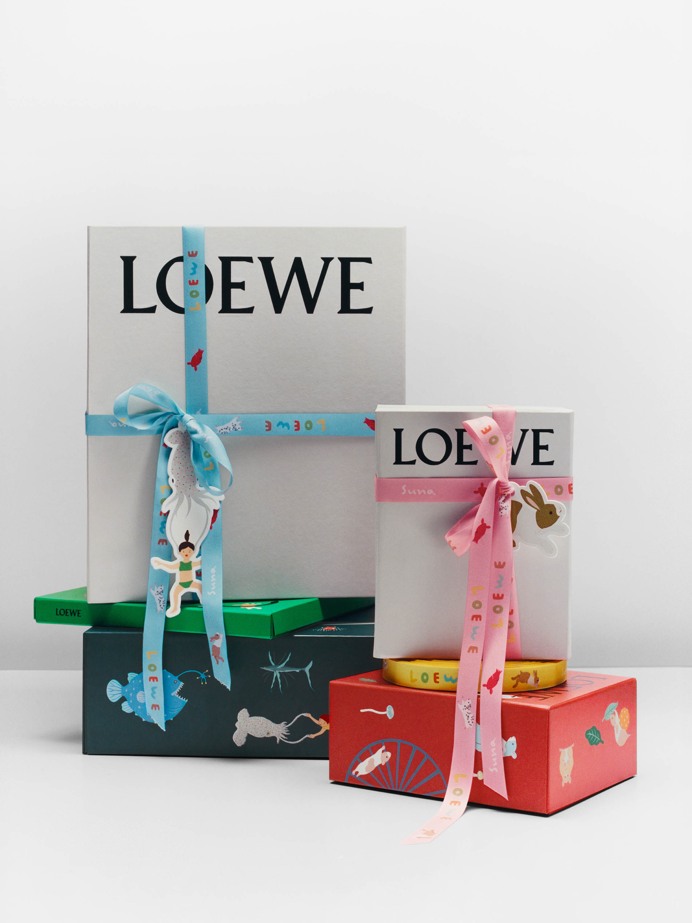 LOEWE ショッピングバッグとギフトボックス